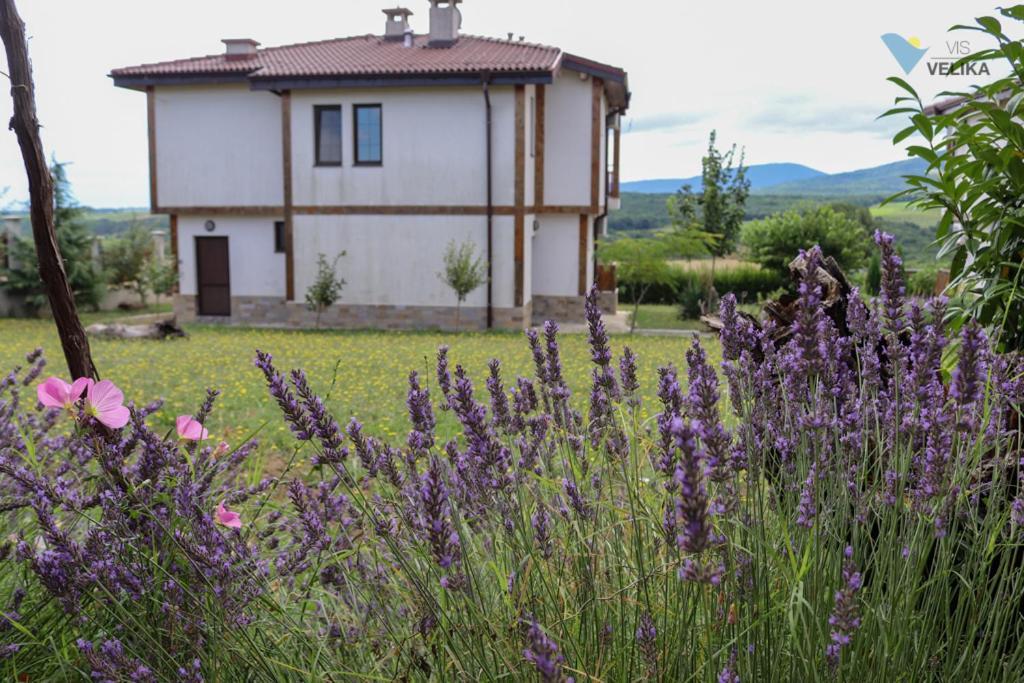 Bed and Breakfast Vis Velika Exterior foto
