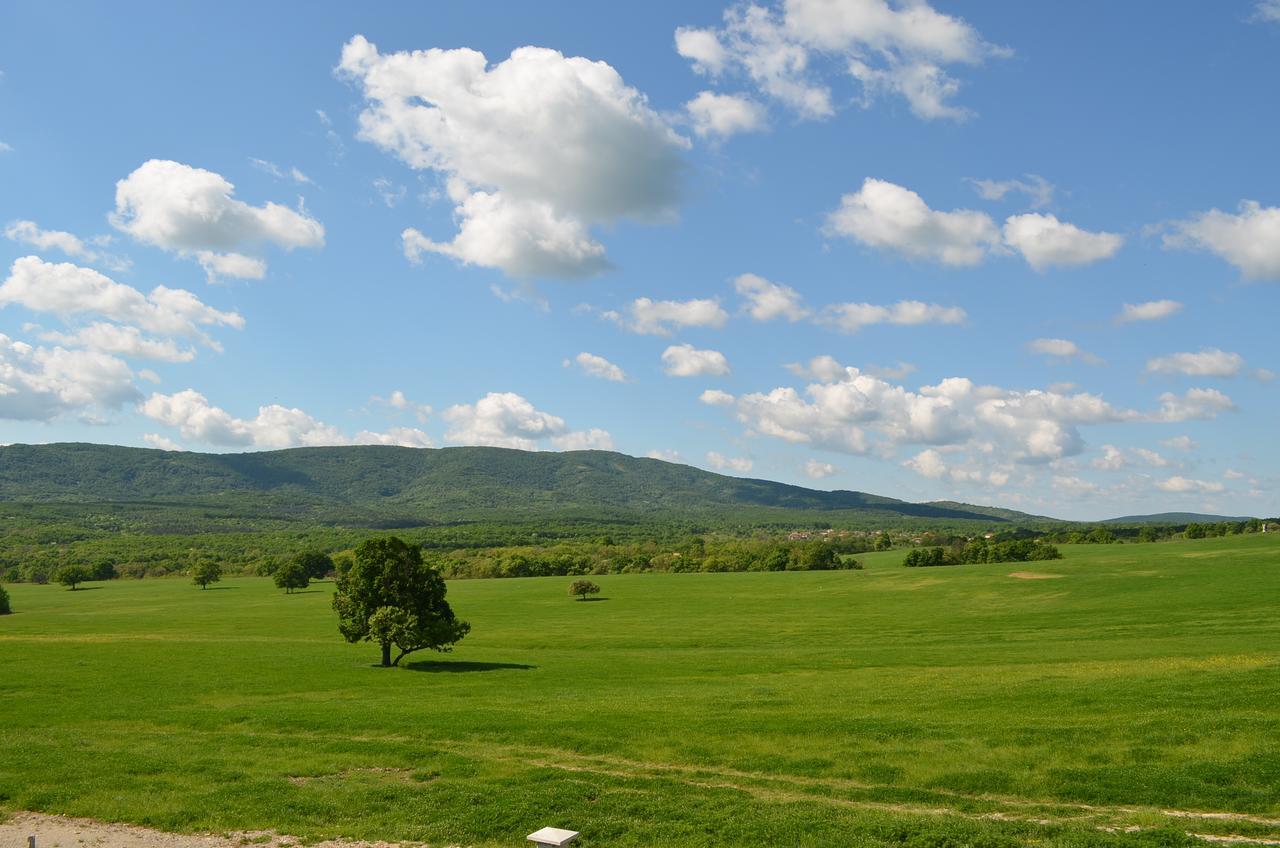 Bed and Breakfast Vis Velika Exterior foto
