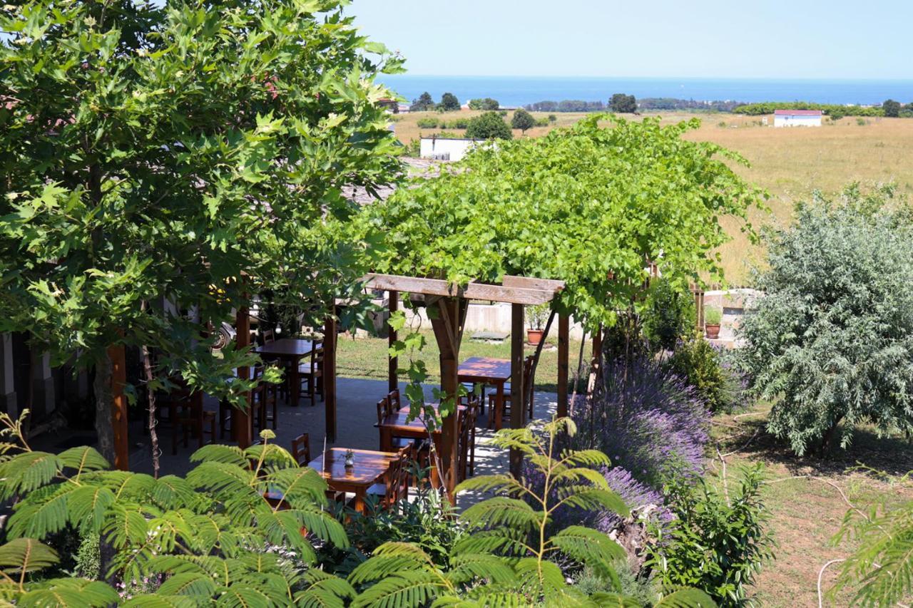 Bed and Breakfast Vis Velika Exterior foto